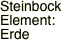 Steinbock Element: Erde